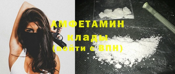 прущие грибы Сатка