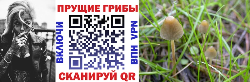 МЕГА ссылка  закладка  Иннополис  Галлюциногенные грибы мухоморы 